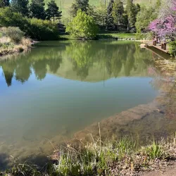 Red Butte Garden and Arboretum - Salt Lake City
