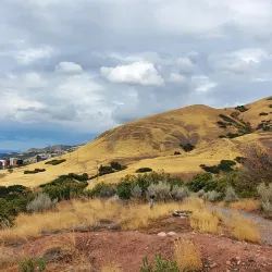 Red Butte Garden and Arboretum - Salt Lake City