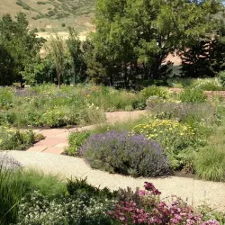 Red Butte Garden and Arboretum - Salt Lake City