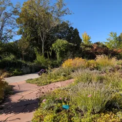 Red Butte Garden and Arboretum - Salt Lake City
