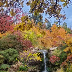Red Butte Garden and Arboretum - Salt Lake City