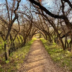 Red Butte Garden and Arboretum - Salt Lake City