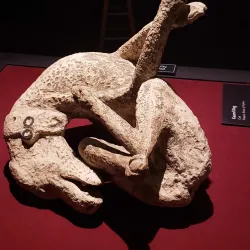 The Leonardo Museum - Salt Lake City