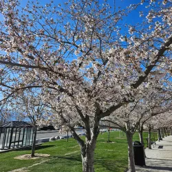 Utah State Capitol - Salt Lake City