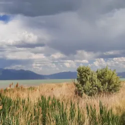 Glenmoor Trail - Saratoga Springs