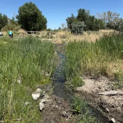 Glenmoor Trail - Saratoga Springs