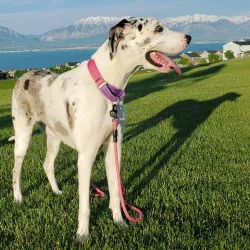 Hidden Hollow Park - Saratoga Springs