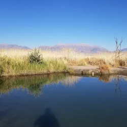 Saratoga Springs City Park - Saratoga Springs
