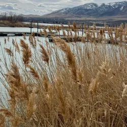 Saratoga Springs City Park - Saratoga Springs