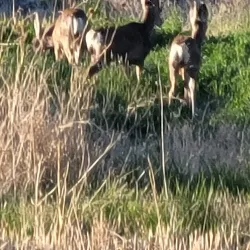 Utah Lake Trail - Saratoga Springs