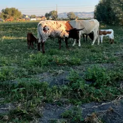 Utah Lake Trail - Saratoga Springs