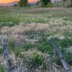 Utah Lake Trail - Saratoga Springs