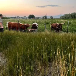 Utah Lake Trail - Saratoga Springs