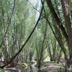 Utah Lake Trail - Saratoga Springs