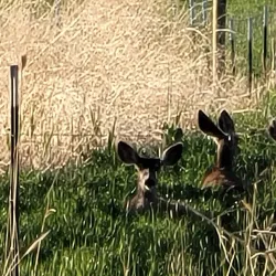 Utah Lake Trail - Saratoga Springs