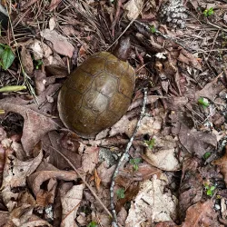 West Mountain Trailhead - Saratoga Springs