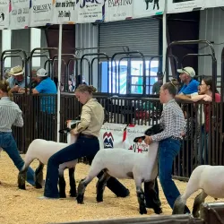 Spanish Fork Fairgrounds - Spanish Fork