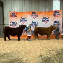 Spanish Fork Fairgrounds - Spanish Fork