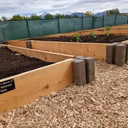 Spanish Fork Farmers Market - Spanish Fork