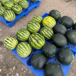 Spanish Fork Farmers Market - Spanish Fork