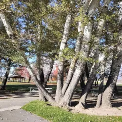 Valley Regional Park - West Jordan