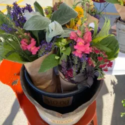 Brandon Farmers Market - Brandon