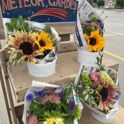 Brandon Farmers Market - Brandon