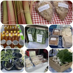 Brandon Farmers Market - Brandon