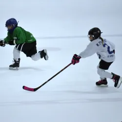 Brandon Ice Rink - Brandon