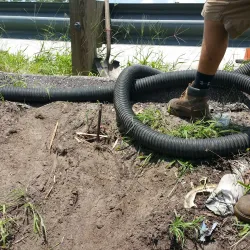 Brandon Ice Rink - Brandon