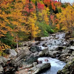 Green Mountain National Forest (nearby) - Brandon