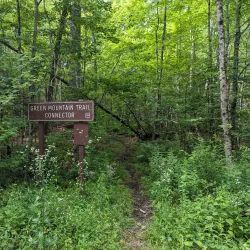 Mount Carmel State Forest - Brandon