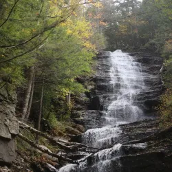 Mount Carmel State Forest - Brandon