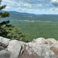 Mount Carmel State Forest - Brandon