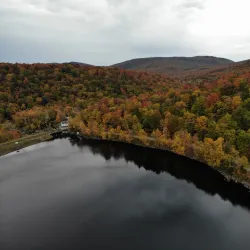 Mount Carmel State Forest - Brandon