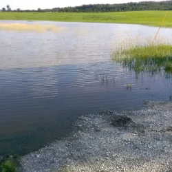 Otter Creek - Brandon