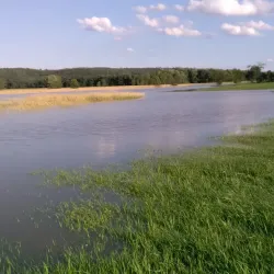 Otter Creek - Brandon