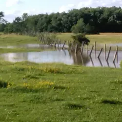 Otter Creek - Brandon