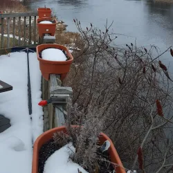 Otter Creek - Brandon