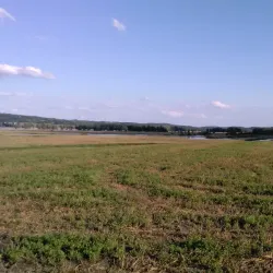 Otter Creek - Brandon