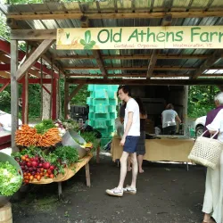 Brattleboro Farmers' Market - Brattleboro