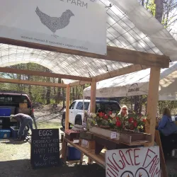 Brattleboro Farmers' Market - Brattleboro