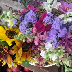 Brattleboro Farmers' Market - Brattleboro
