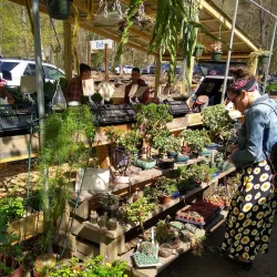 Brattleboro Farmers' Market - Brattleboro