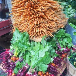 Brattleboro Farmers' Market - Brattleboro