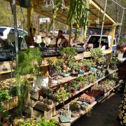 Brattleboro Farmers' Market - Brattleboro