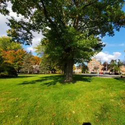 Brattleboro Retreat - Brattleboro