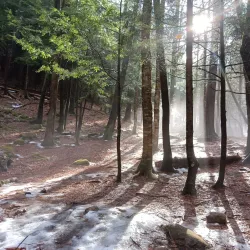 Living Memorial Park - Brattleboro