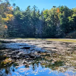 Retreat Farm - Brattleboro