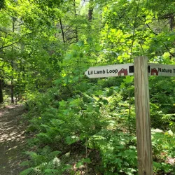 Retreat Farm - Brattleboro